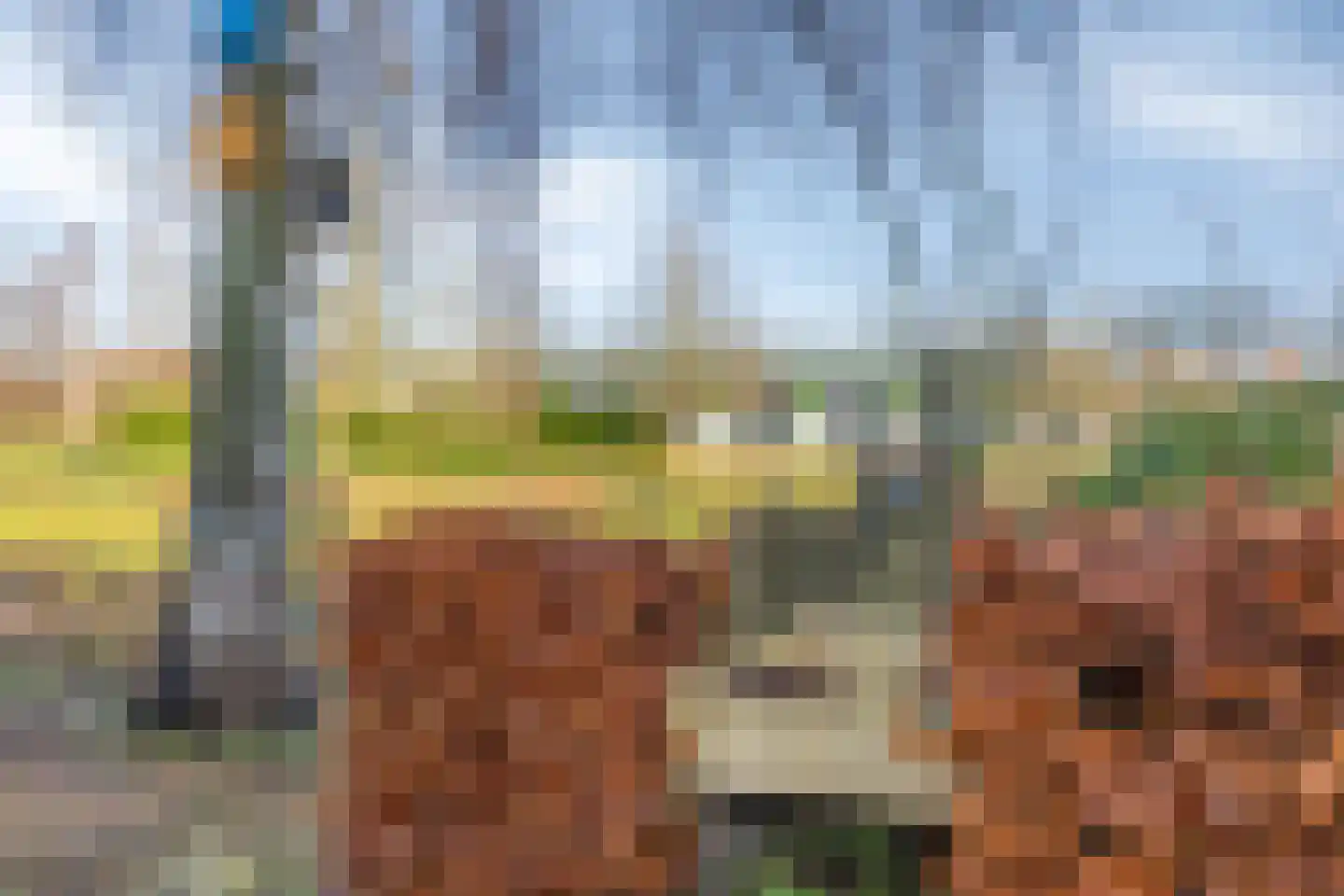 Molenstraat 53 Terheijden thumbnail 63