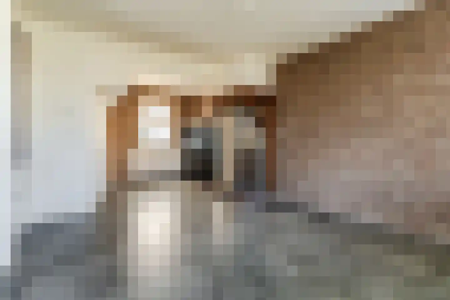 Molenstraat 53 Zeeland thumbnail 11