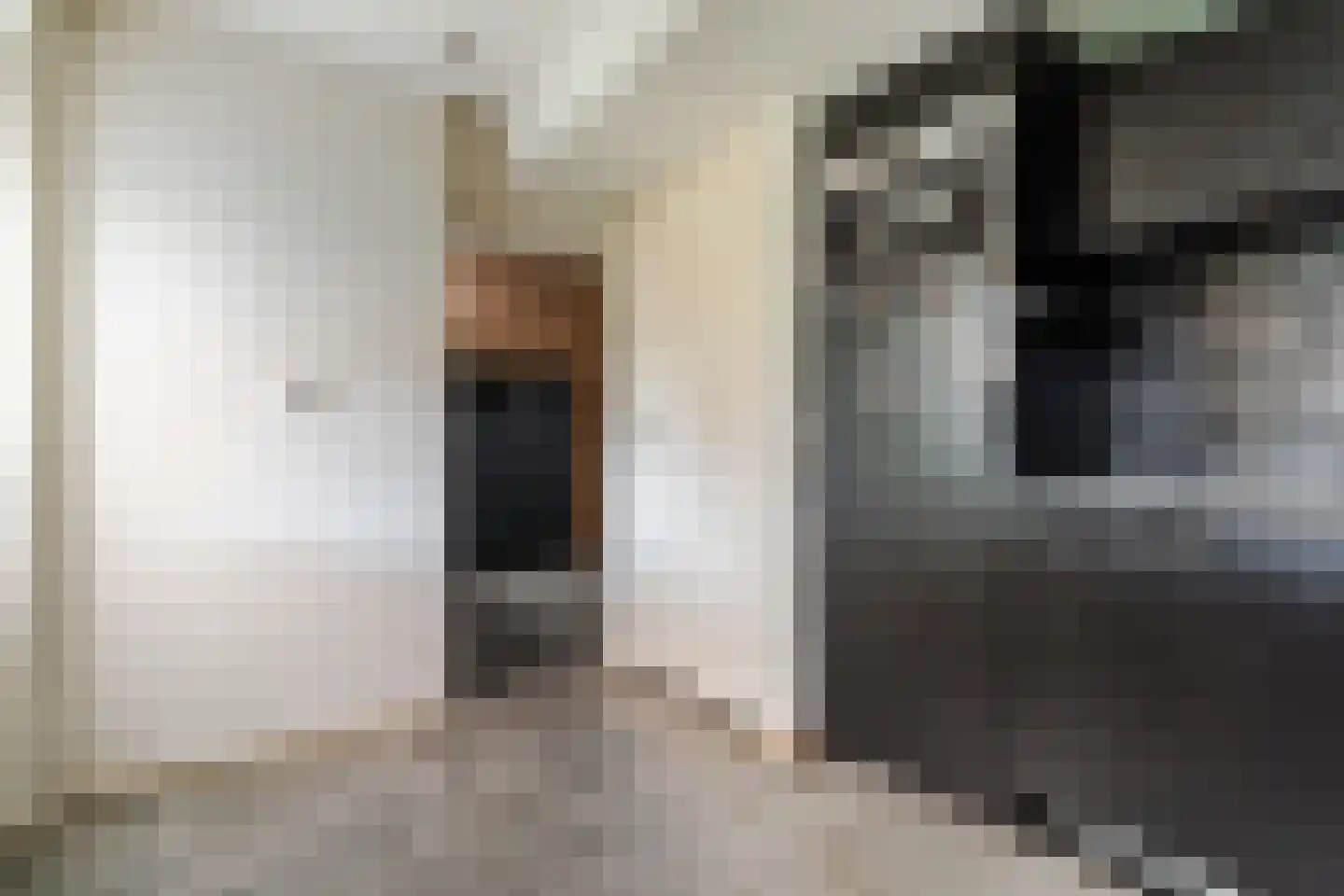Molenstraat 53 Zeeland thumbnail 19