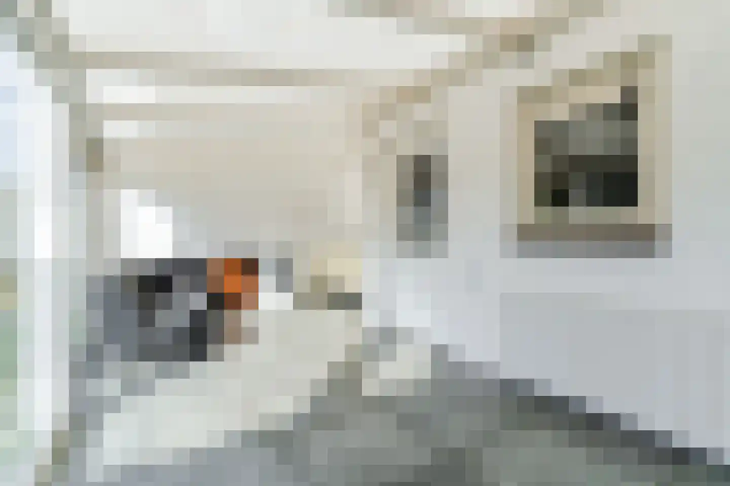Molenstraat 53 Zeeland thumbnail 22