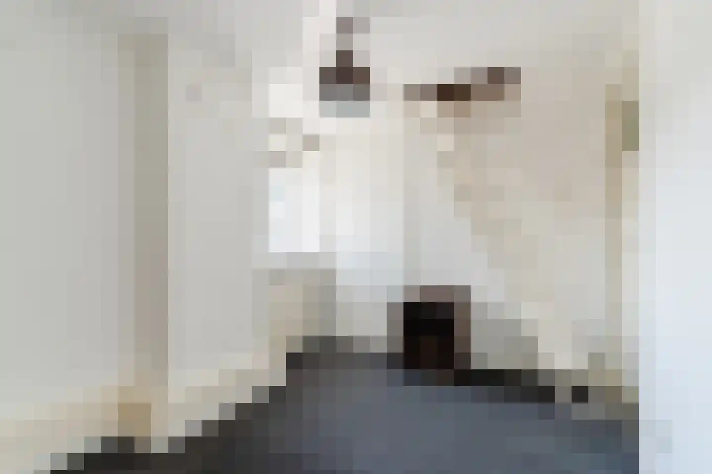 Molenstraat 53 Zeeland thumbnail 34