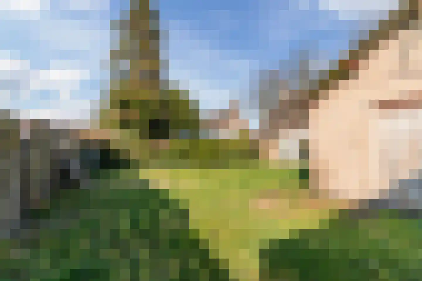 Molenstraat 53 Zeeland thumbnail 40
