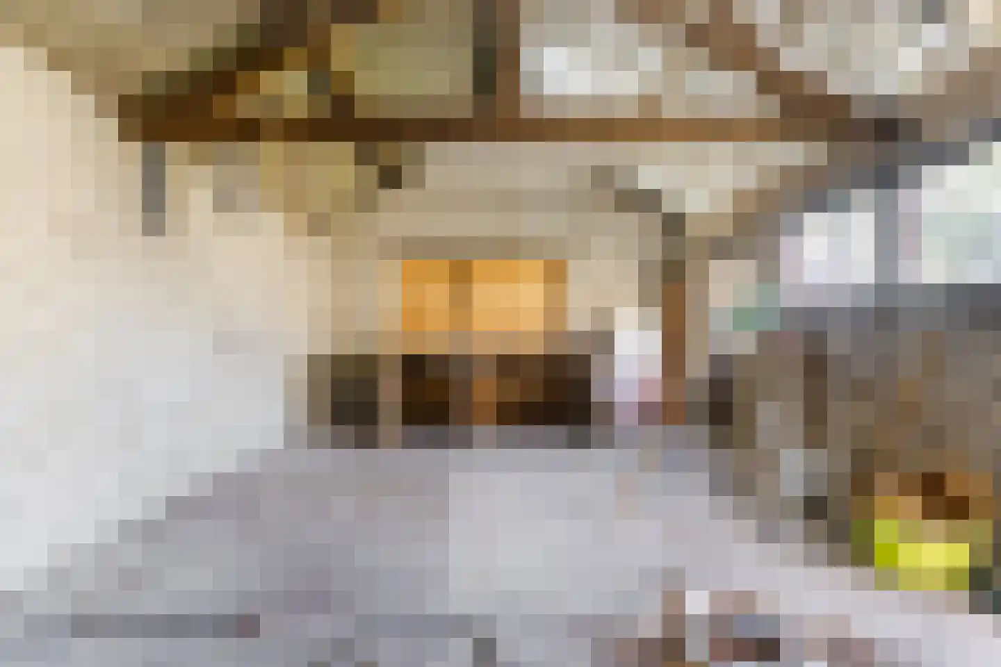Molenstraat 53 Zeeland thumbnail 43