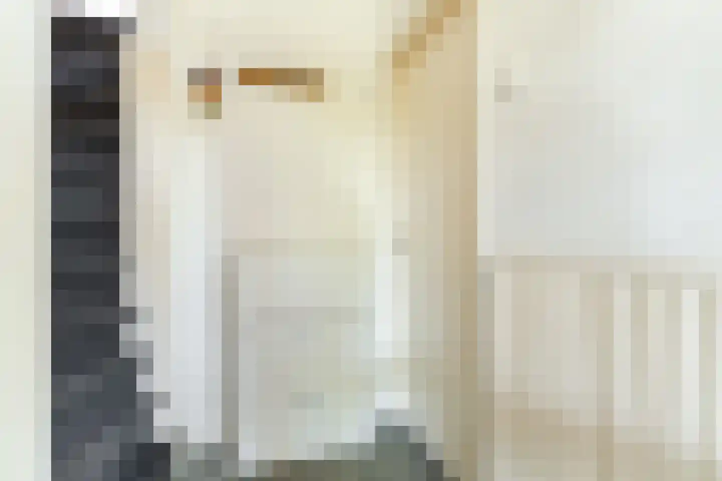 Molenstraat 53 Zeeland thumbnail 6