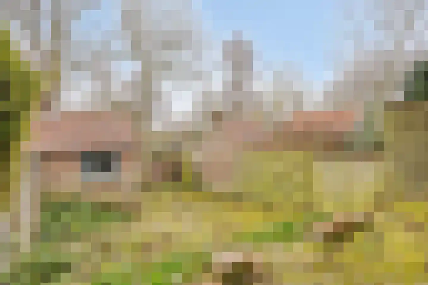 Molenstraat 54 Brouwershaven thumbnail 19
