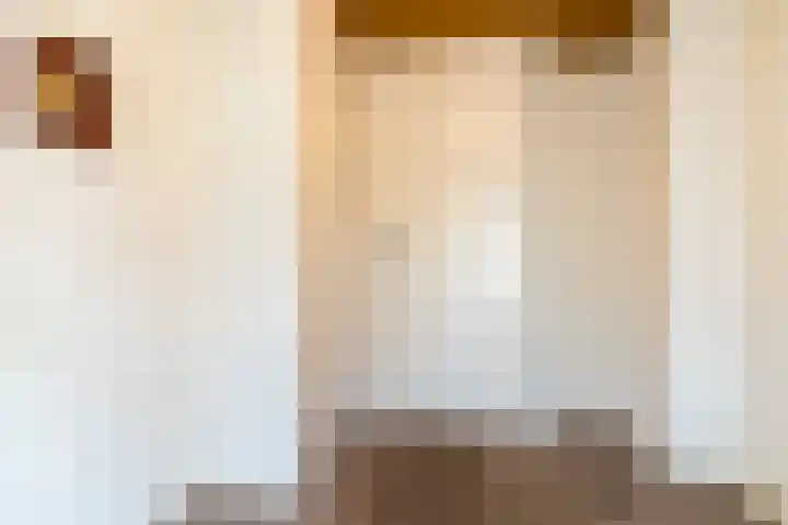 Molenstraat 54 Oosterhout thumbnail 22