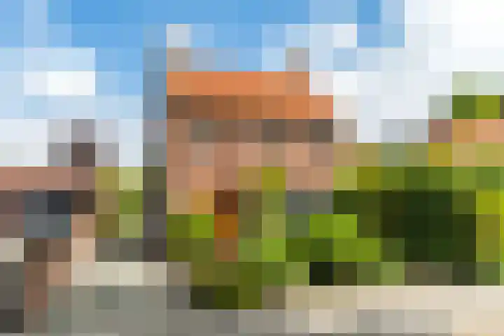 Molenstraat 54 Oosterhout thumbnail 32