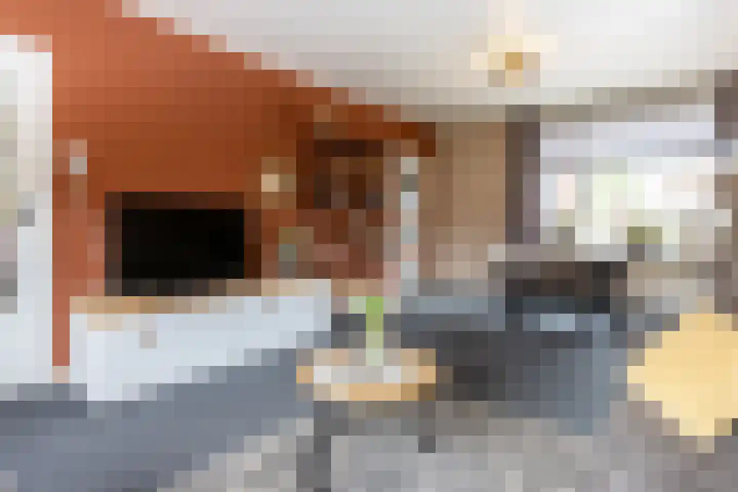 Molenstraat 54 Ossendrecht thumbnail 11