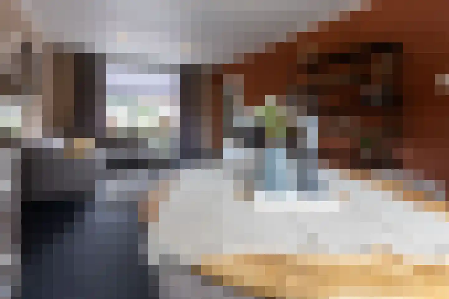 Molenstraat 54 Ossendrecht thumbnail 12