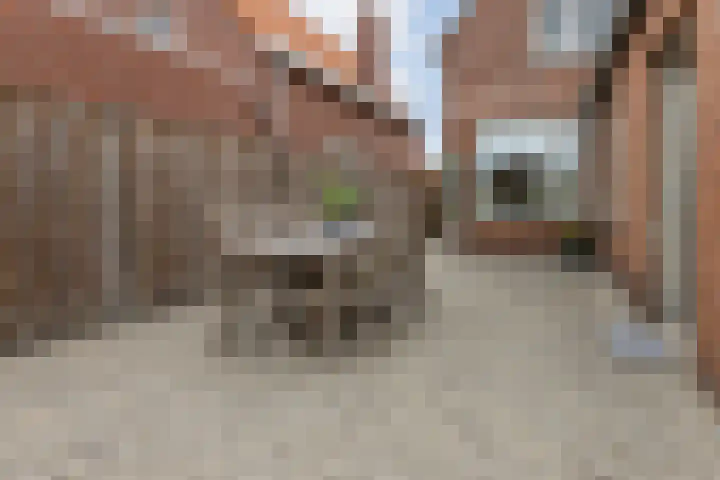 Molenstraat 54 Ossendrecht thumbnail 41