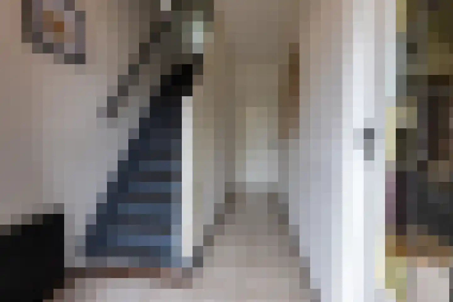 Molenstraat 54 Ossendrecht thumbnail 5