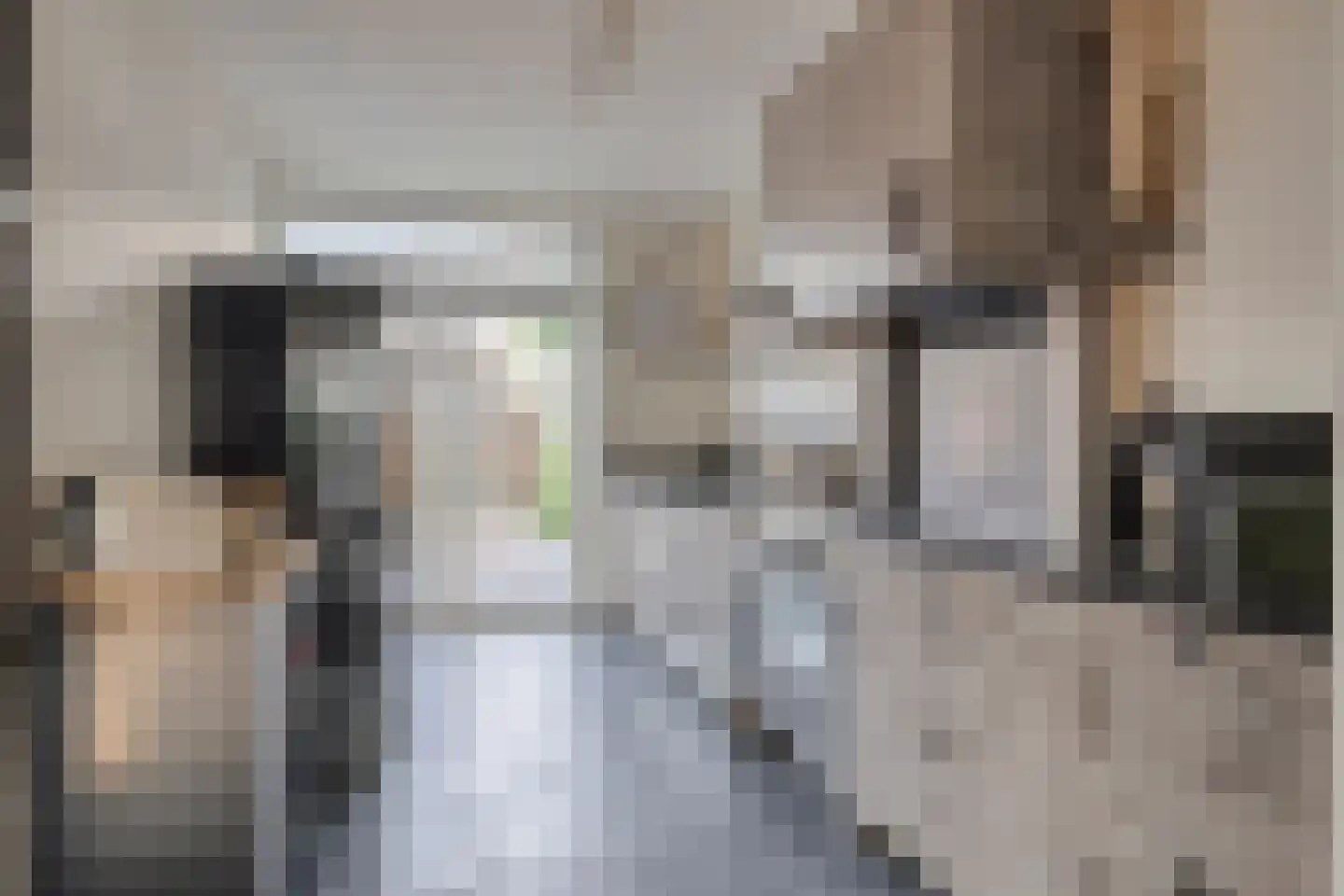 Molenstraat 54 Prinsenbeek thumbnail 10