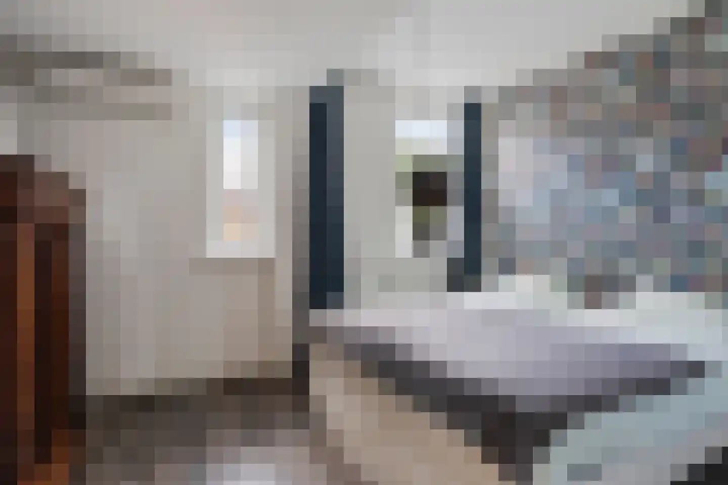 Molenstraat 54 Prinsenbeek thumbnail 14