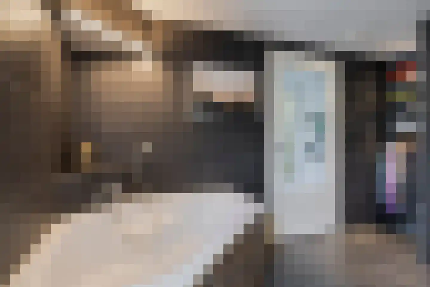 Molenstraat 54 Prinsenbeek thumbnail 17