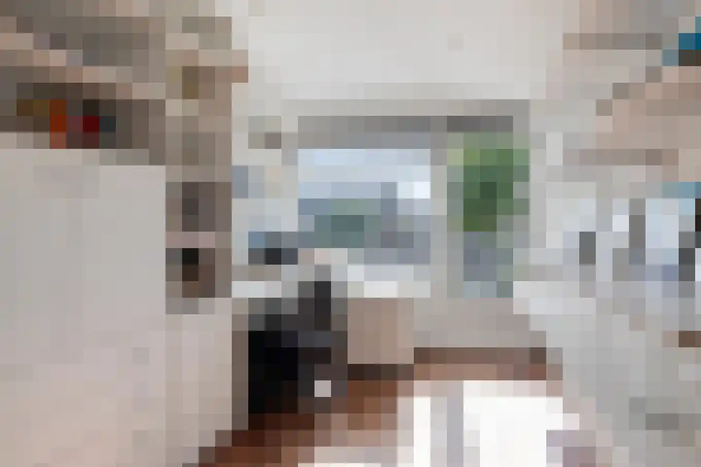 Molenstraat 54 Prinsenbeek thumbnail 20