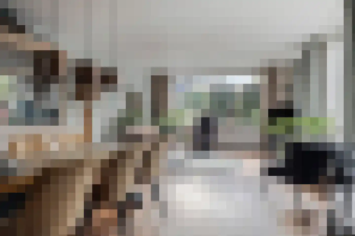 Molenstraat 54 Prinsenbeek thumbnail 6