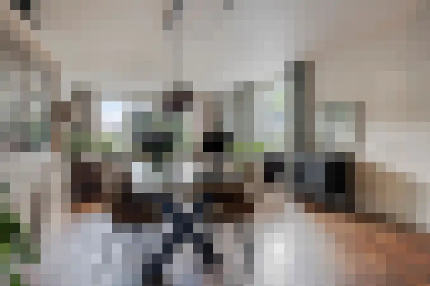 Molenstraat 54 Prinsenbeek thumbnail 8