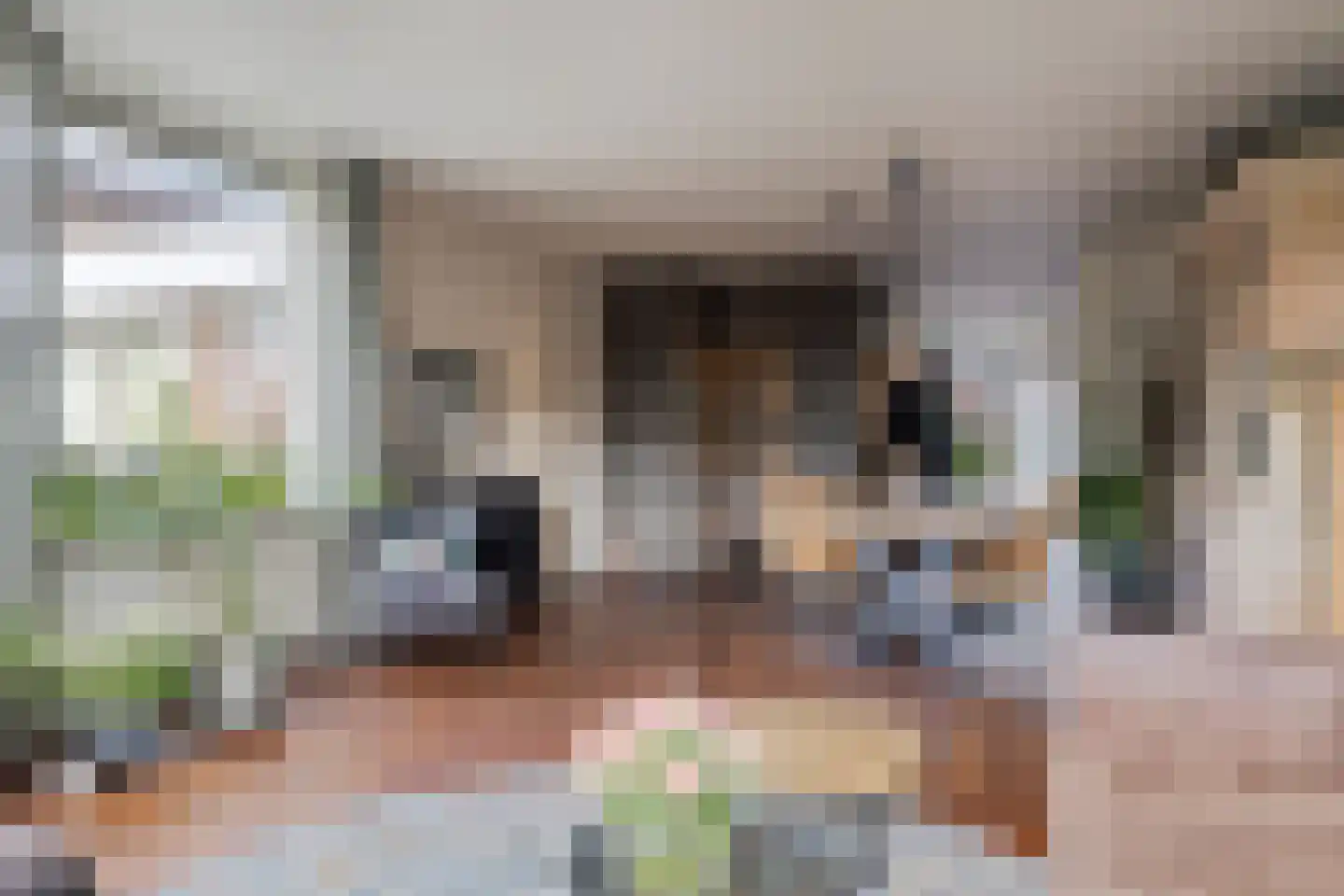 Molenstraat 54 Prinsenbeek thumbnail 9