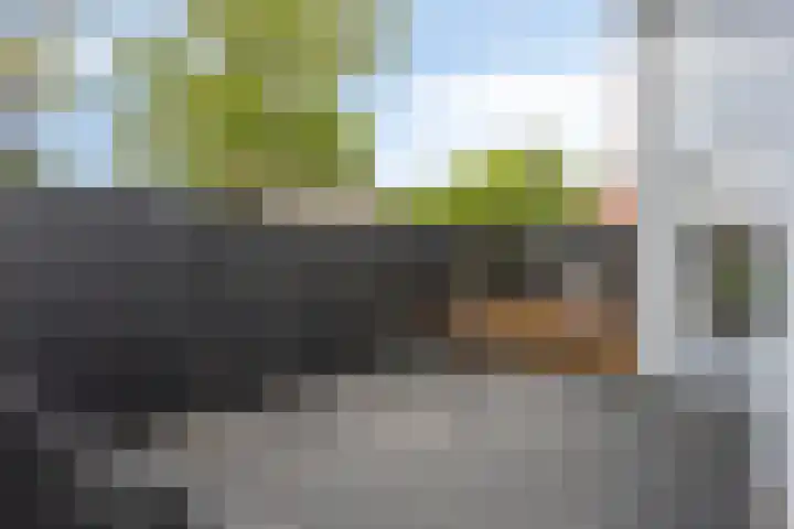 Molenstraat 55 A Ameide thumbnail 21