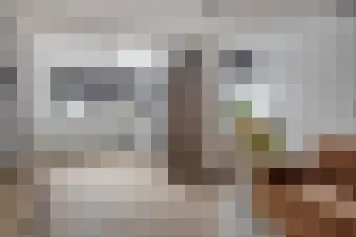 Molenstraat 55 A Ameide thumbnail 9
