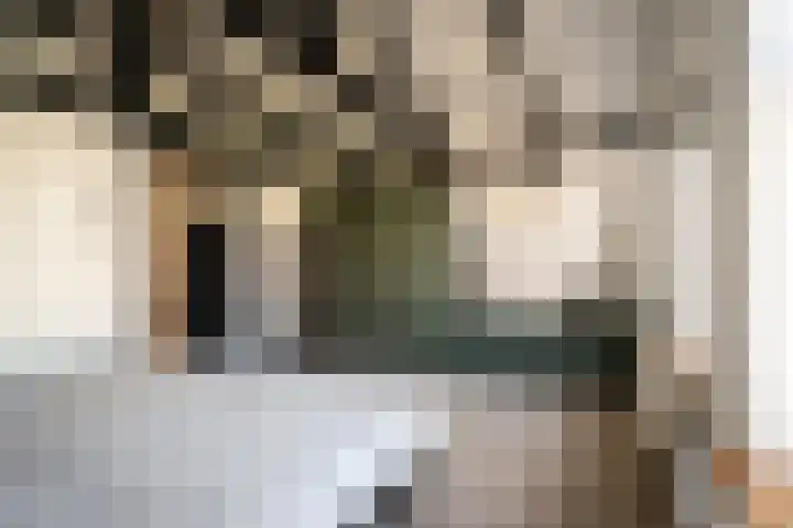 Molenstraat 55 Den Burg thumbnail 26
