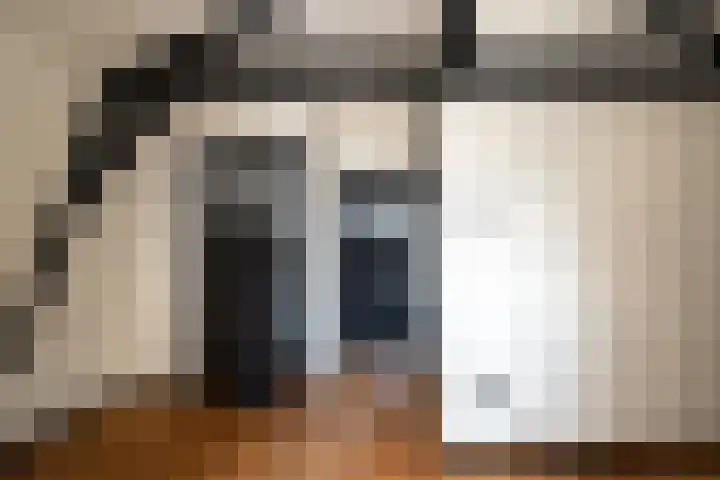 Molenstraat 55 Den Burg thumbnail 29