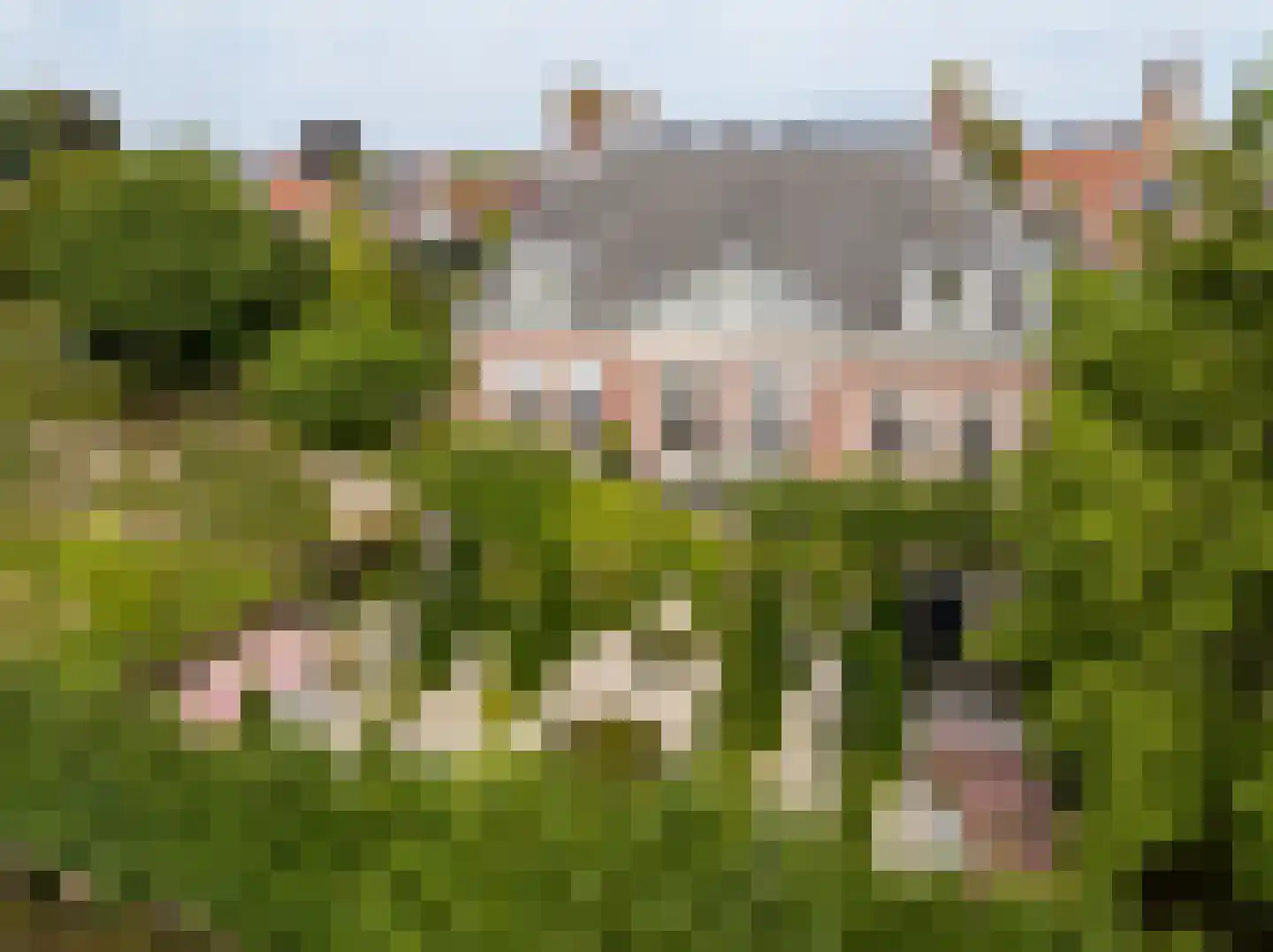 Molenstraat 55 Vianen thumbnail 43