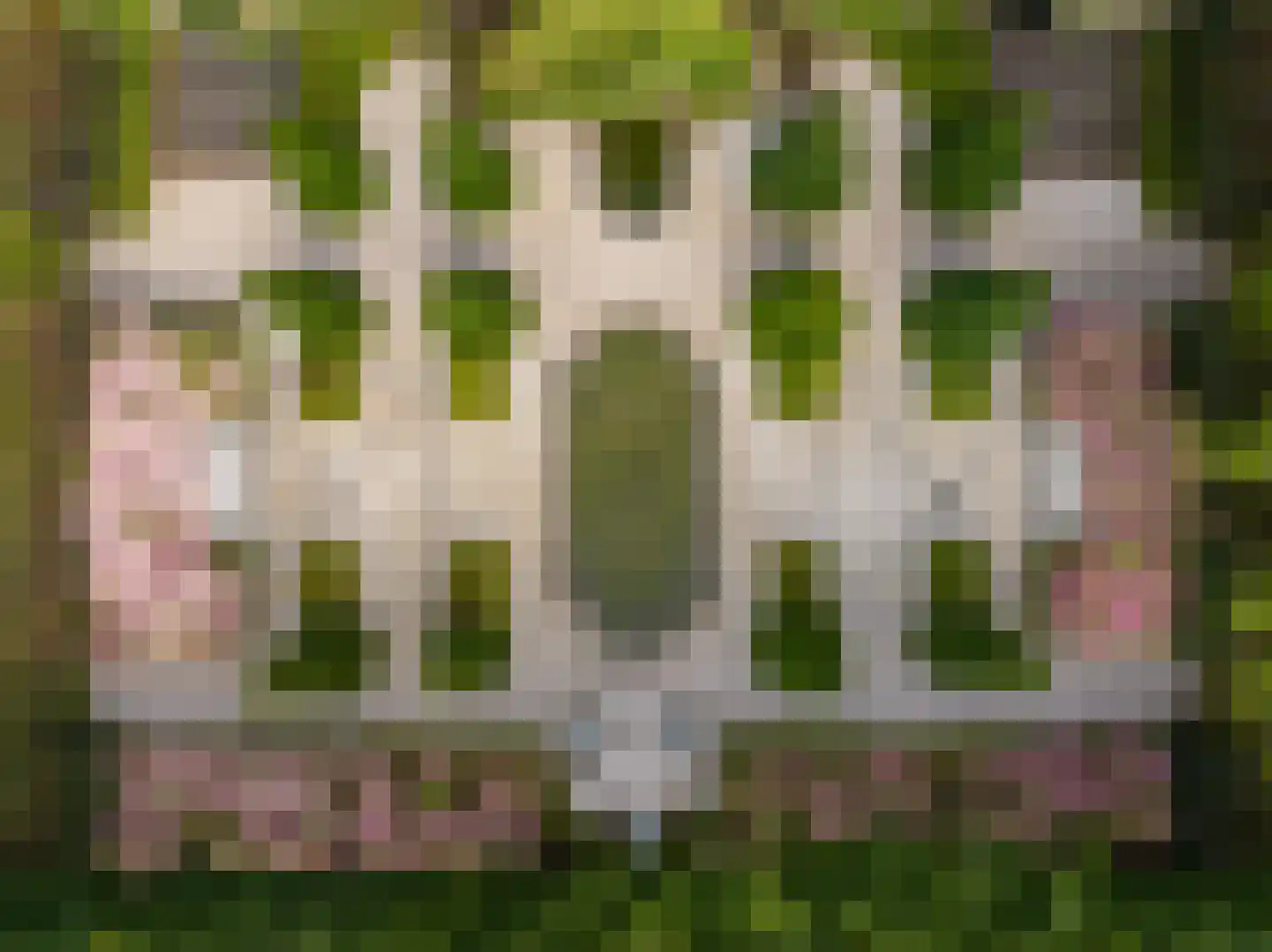 Molenstraat 55 Vianen thumbnail 45