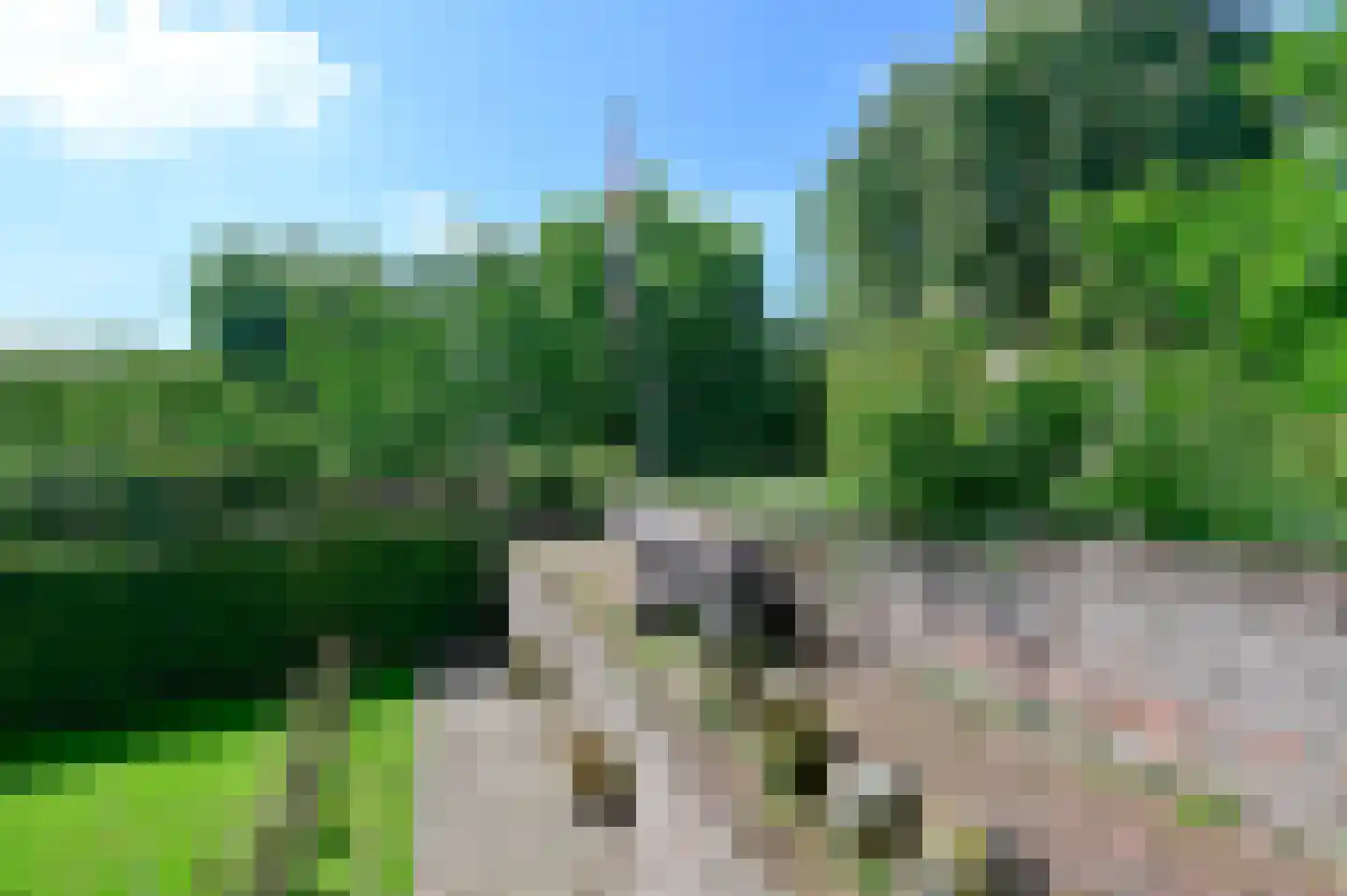 Molenstraat 55 Vianen thumbnail 57