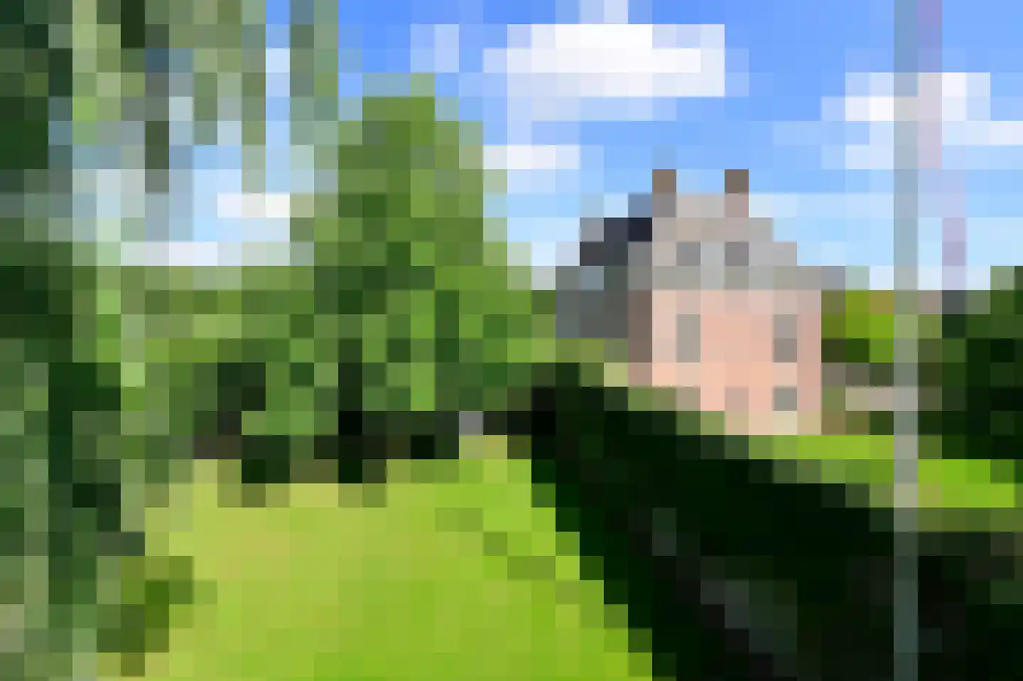 Molenstraat 55 Vianen thumbnail 59