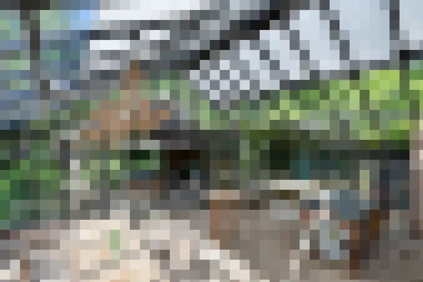 Molenstraat 55 Vianen thumbnail 71