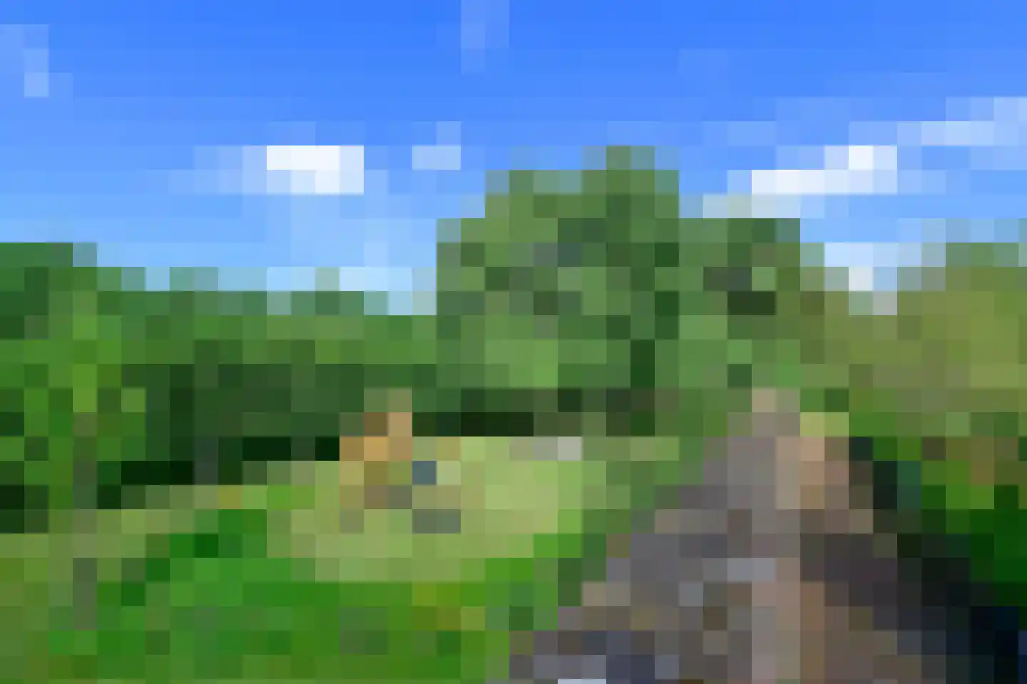 Molenstraat 55 Vianen thumbnail 81