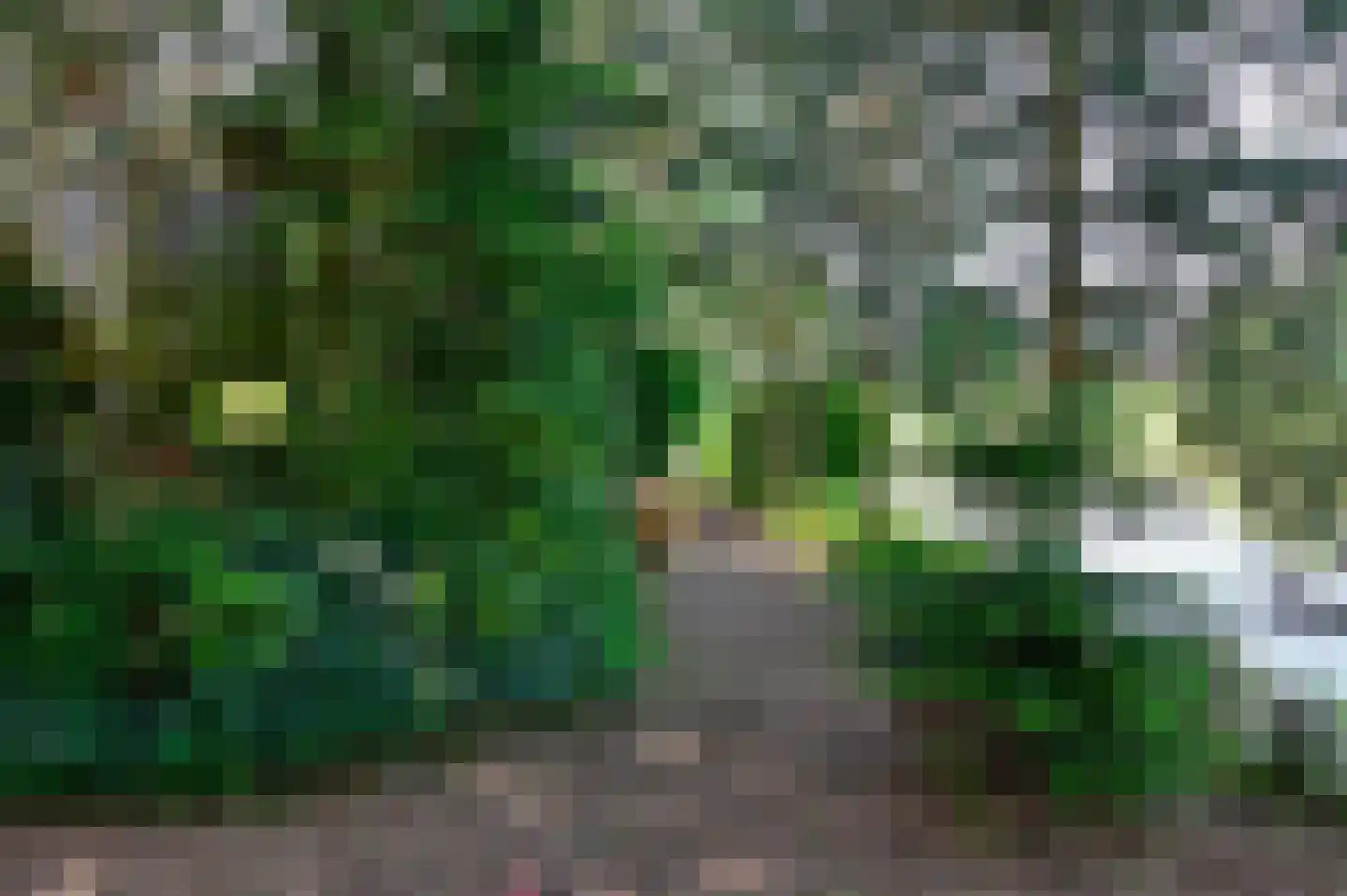 Molenstraat 55 Vianen thumbnail 82