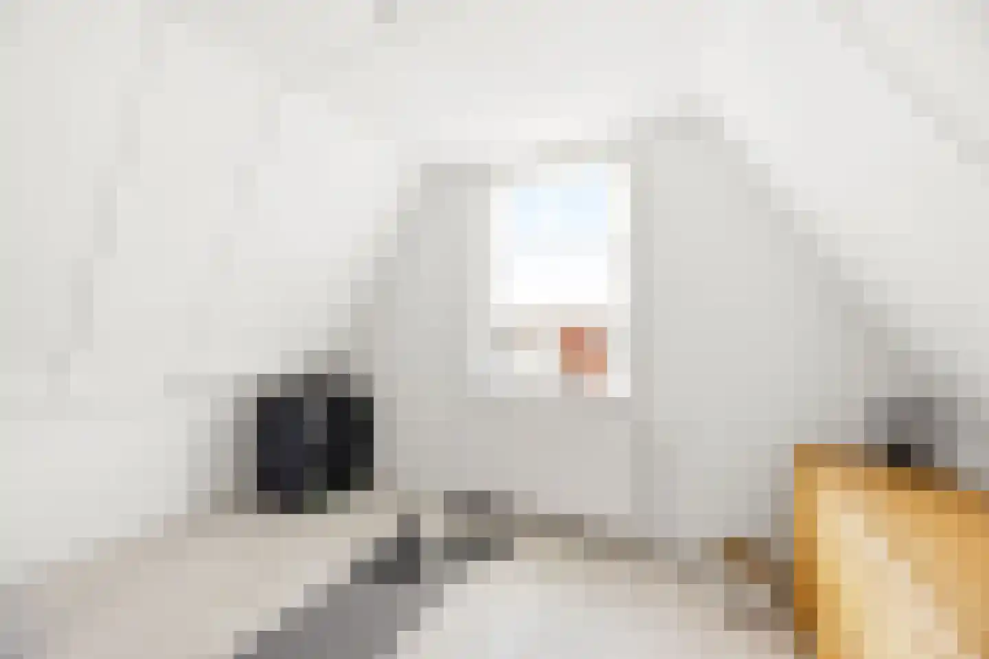 Molenstraat 55 Vlissingen thumbnail 42