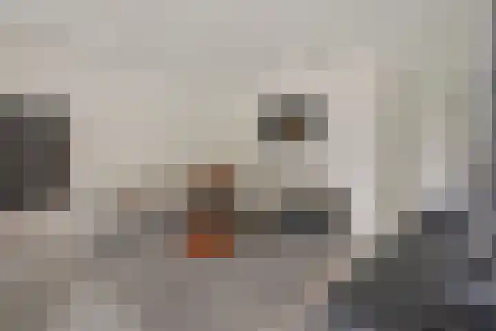 Molenstraat 56 a Clinge thumbnail 10