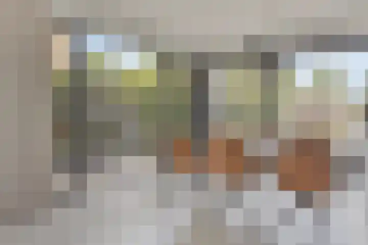 Molenstraat 56 a Clinge thumbnail 12