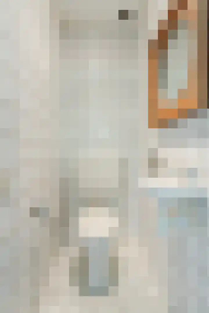 Molenstraat 56 Den Ham thumbnail 4