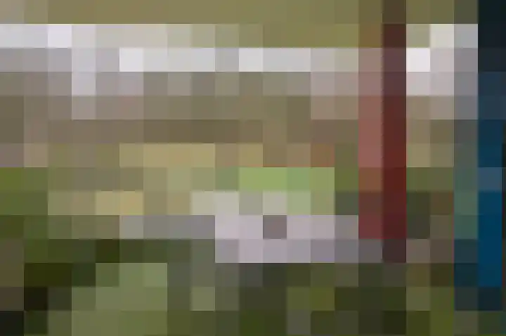 Molenstraat 56 Den Ham thumbnail 40