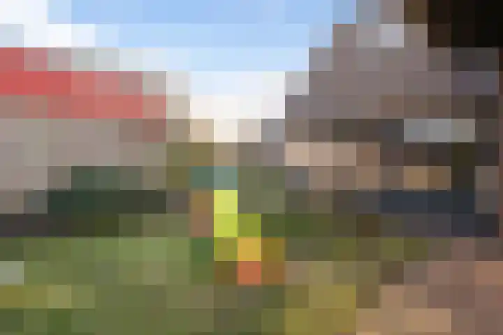 Molenstraat 56 Den Ham thumbnail 42