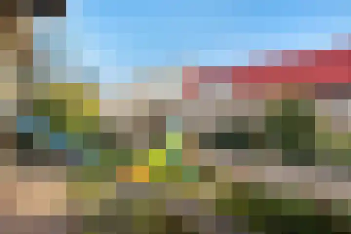 Molenstraat 56 Den Ham thumbnail 43