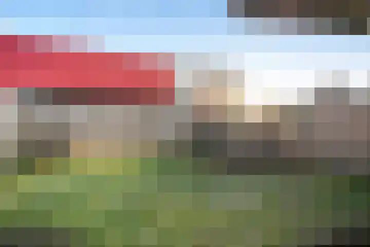 Molenstraat 56 Den Ham thumbnail 44