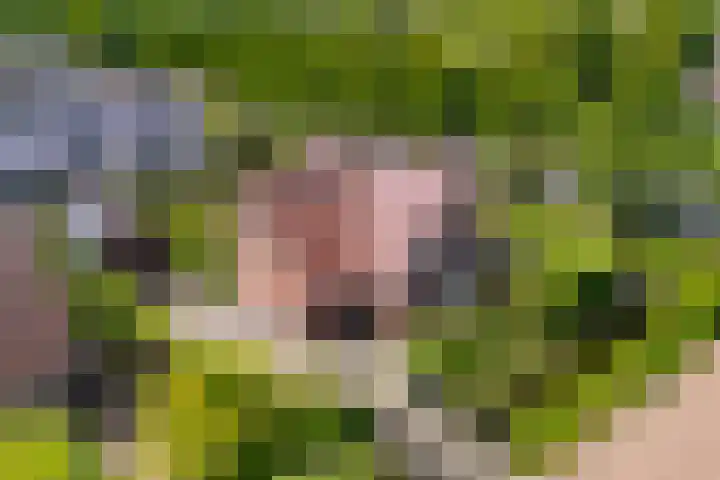 Molenstraat 56 Den Ham thumbnail 8