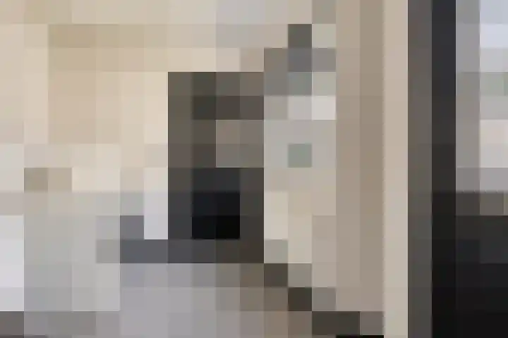 Molenstraat 56 Tilburg thumbnail 13