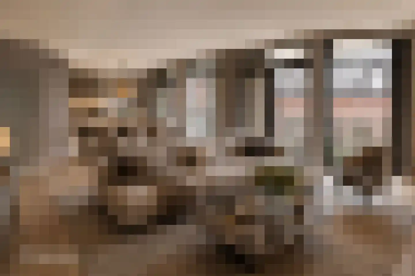 Molenstraat 57 a Zundert thumbnail 11