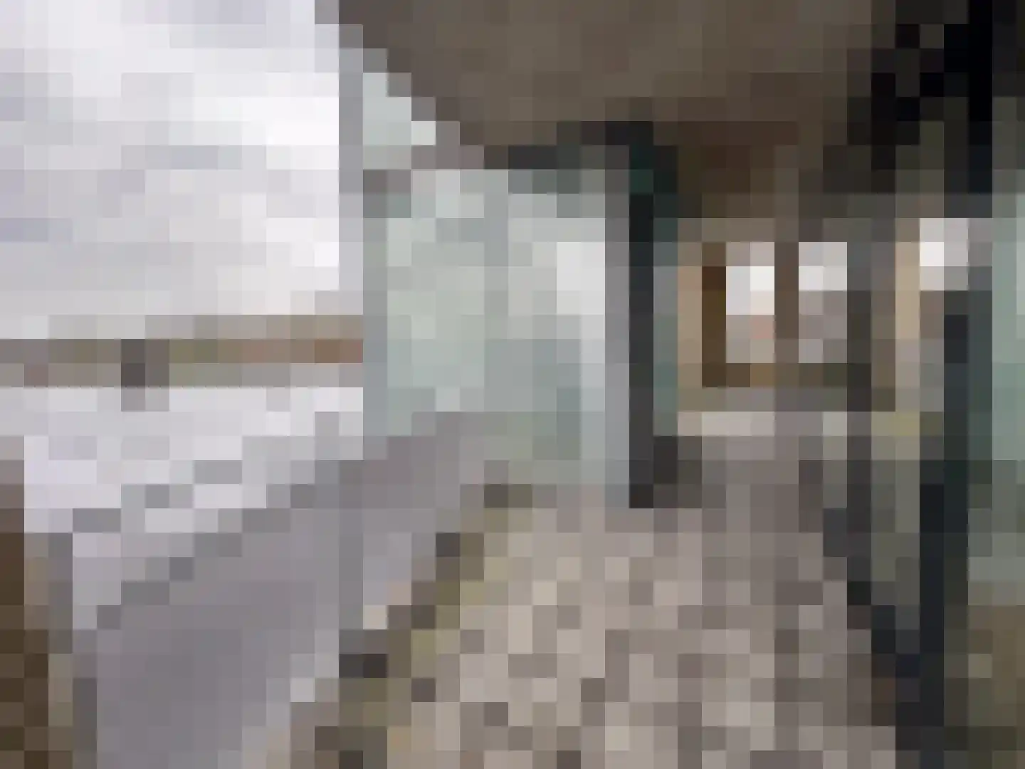 Molenstraat 57 a Zundert thumbnail 36