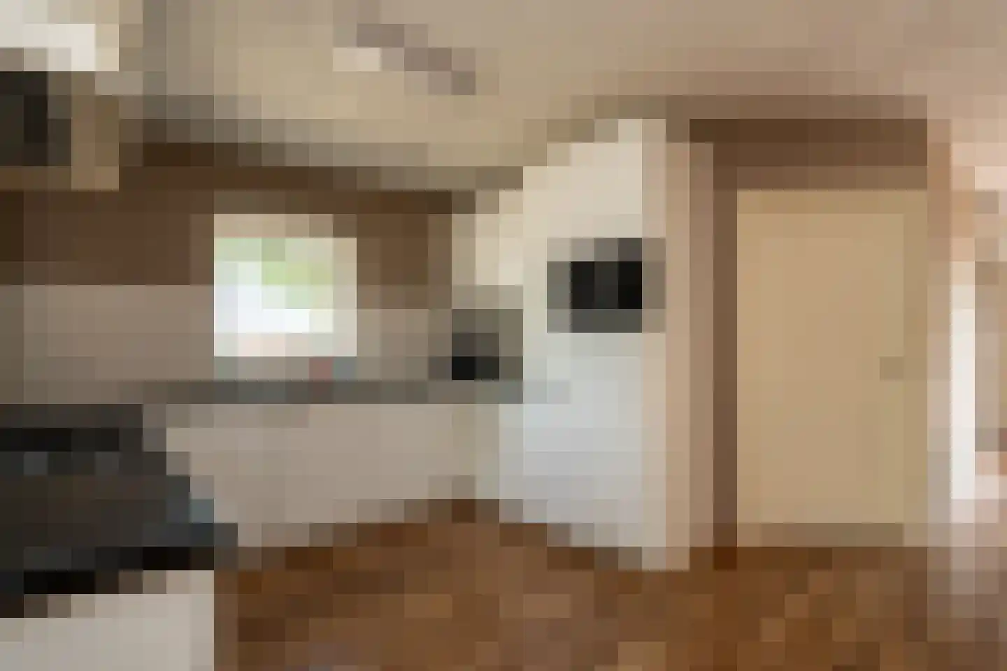 Molenstraat 57 Mussel thumbnail 9