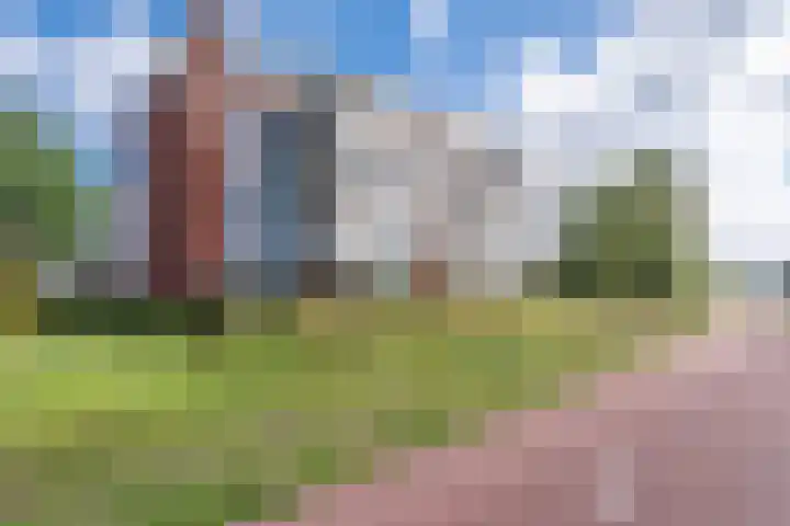 Molenstraat 57 Son en Breugel thumbnail 37