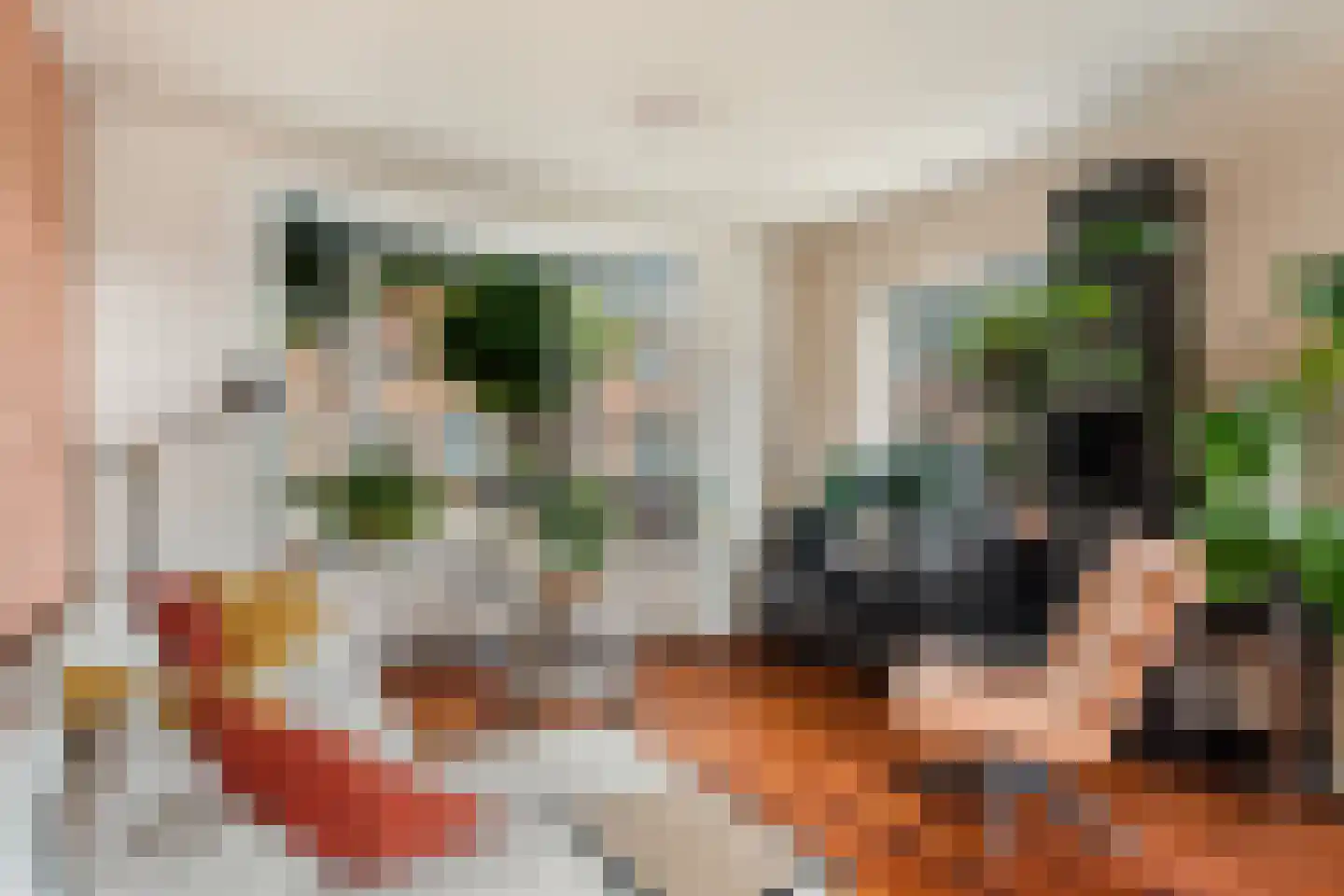 Molenstraat 57 Zoetermeer thumbnail 12