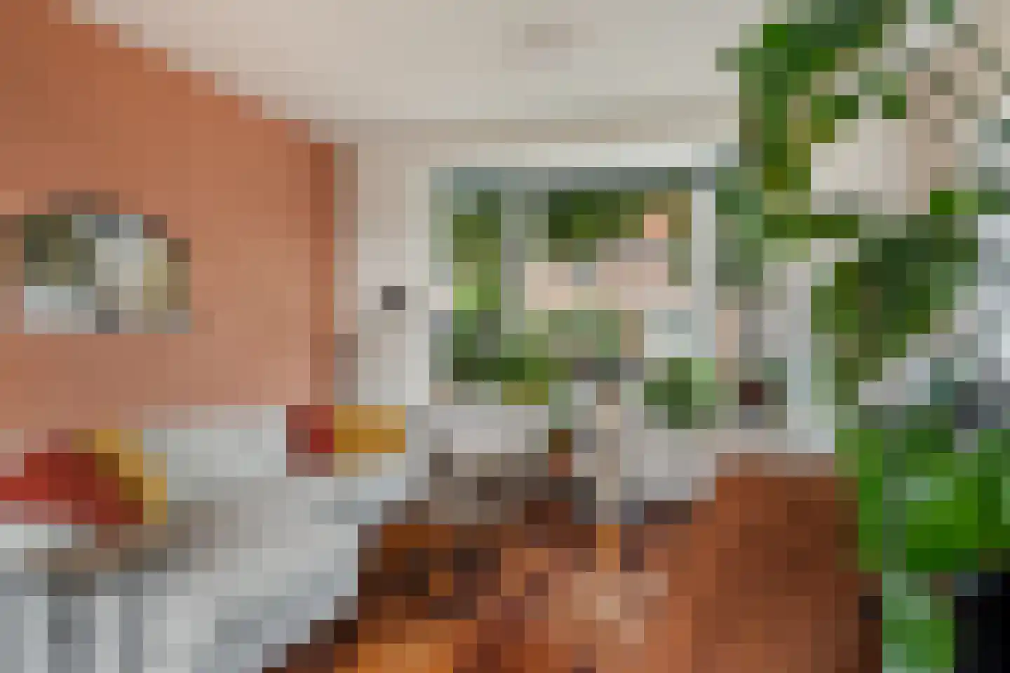 Molenstraat 57 Zoetermeer thumbnail 13