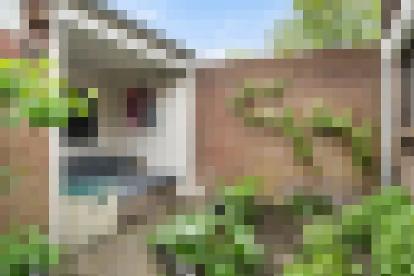 Molenstraat 57 Zoetermeer thumbnail 27